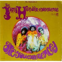 ARE YOU EXPERIENCED?