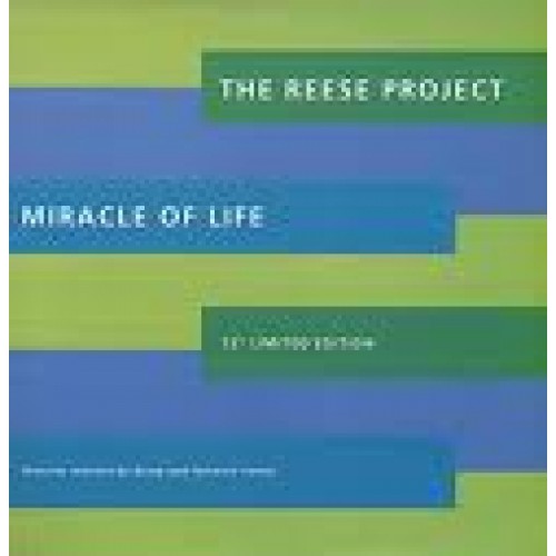 MIRACLE OF LIFE - 12INCH