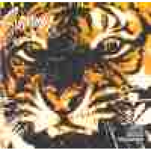 EYE OF THE TIGER - LP EYE OF THE TIGER - LP