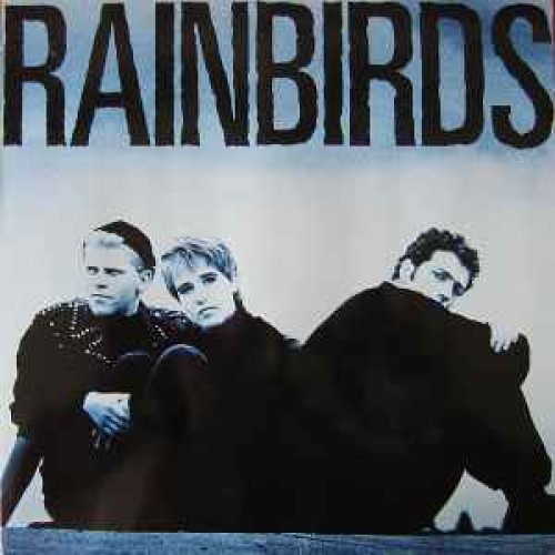 Rainbirds - LP