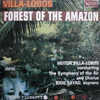 Forest Of The Amazon